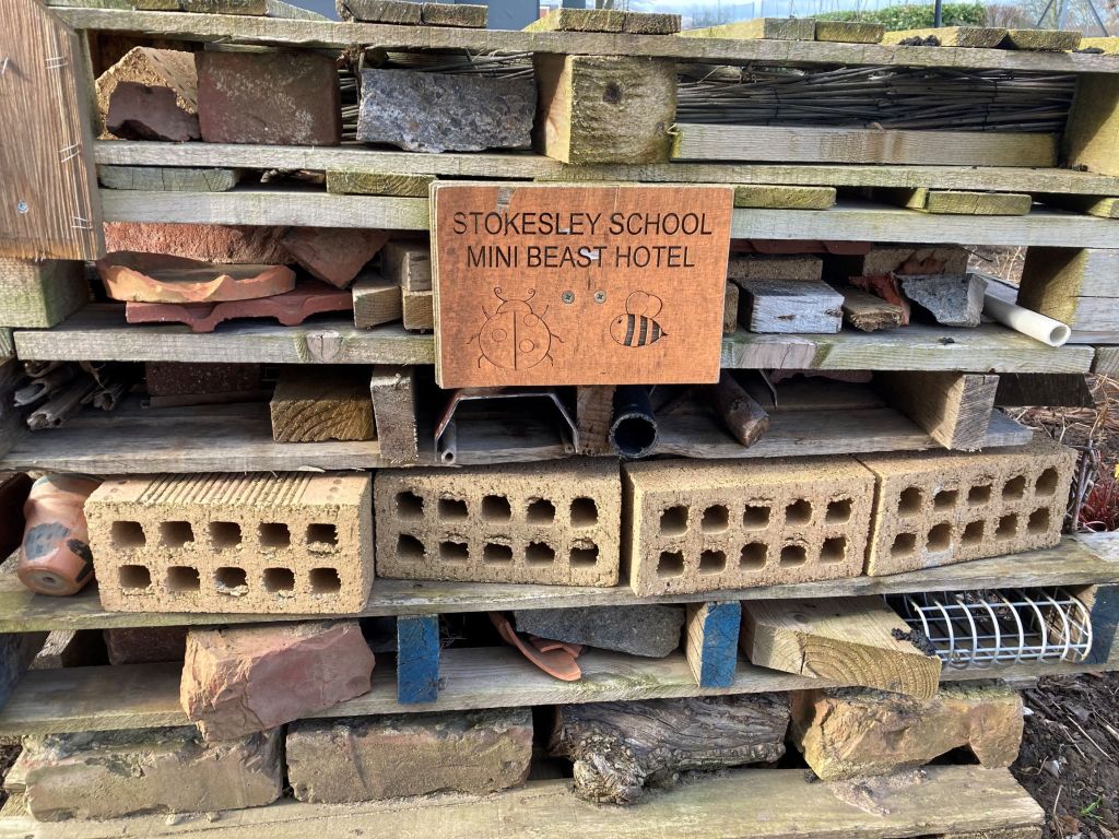 Bug Hotel